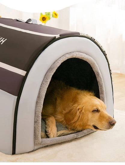 chien regarde par niche du chien gris et fleur