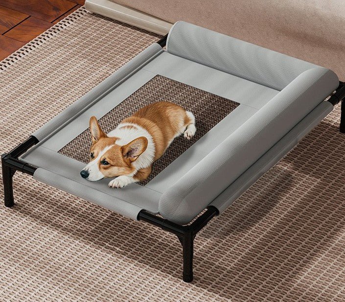 chien regarde par son lit sureleve pour chien
