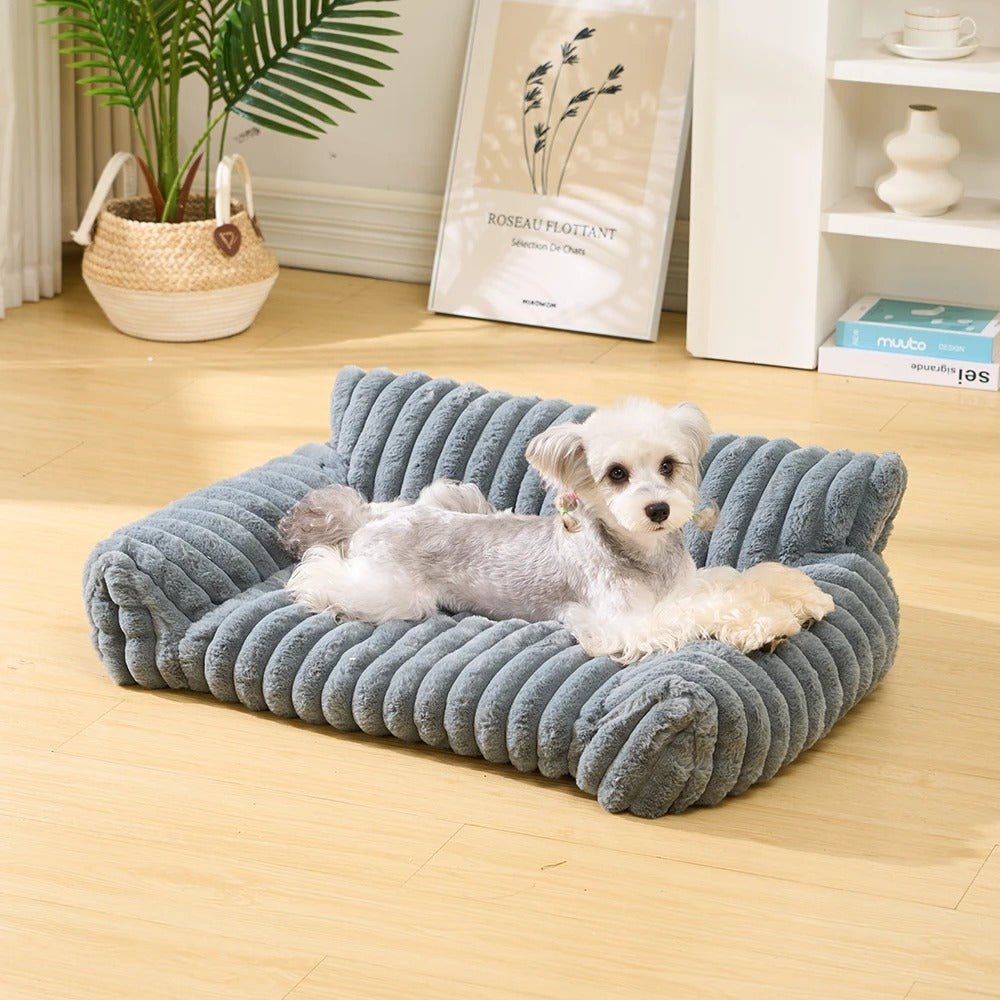chien relaxe sur canape pour chien bleu