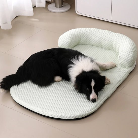 chien dorment sur son tapis rafraichissant chie