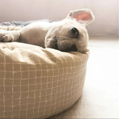 chien  repose dans coussin chien carreaux