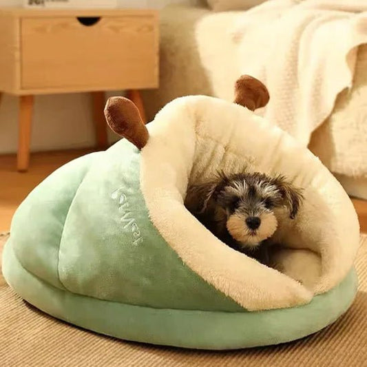 chien repose dans lit pour chien pantoufle vert blanc