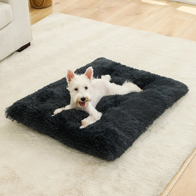 chien  repose son lit pour chien antistress