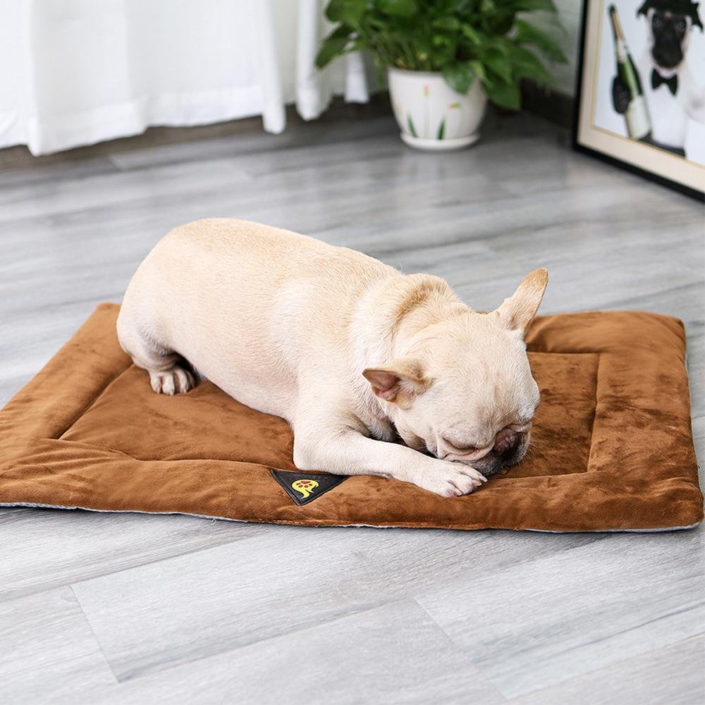 chien savoure son_coussin_pour_chien_autochauffant