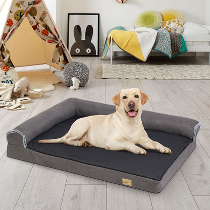 chien sur canape pour chien XL dans salon