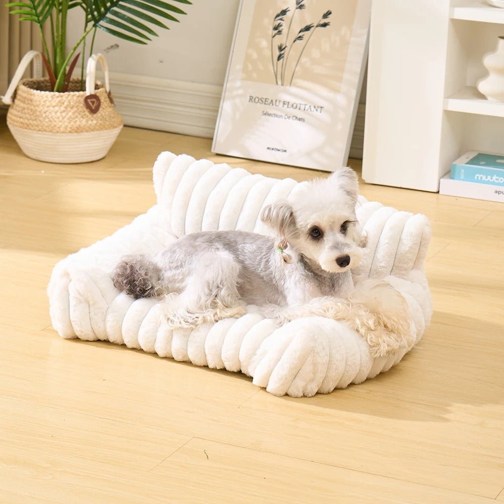 chien sur canape pour chien peluche blanc