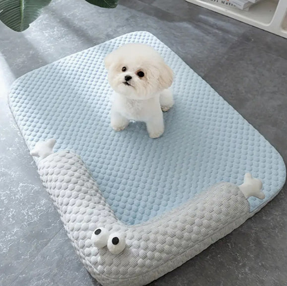 chien sur coussin chien a rebord bleu