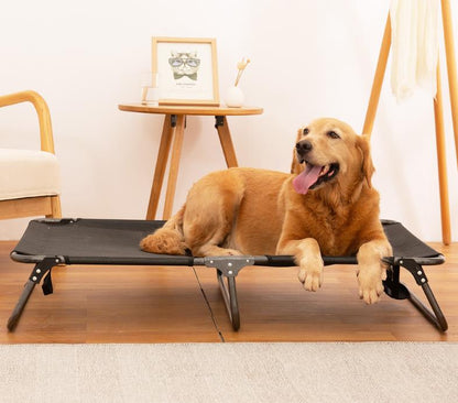 chien_sur_lit_de_camp_chien_heureux