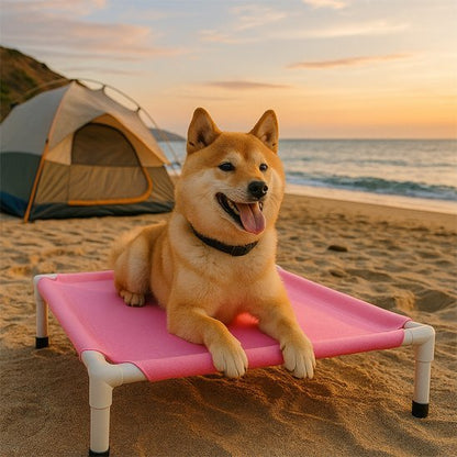 chien sur lit de camp dans la plage 