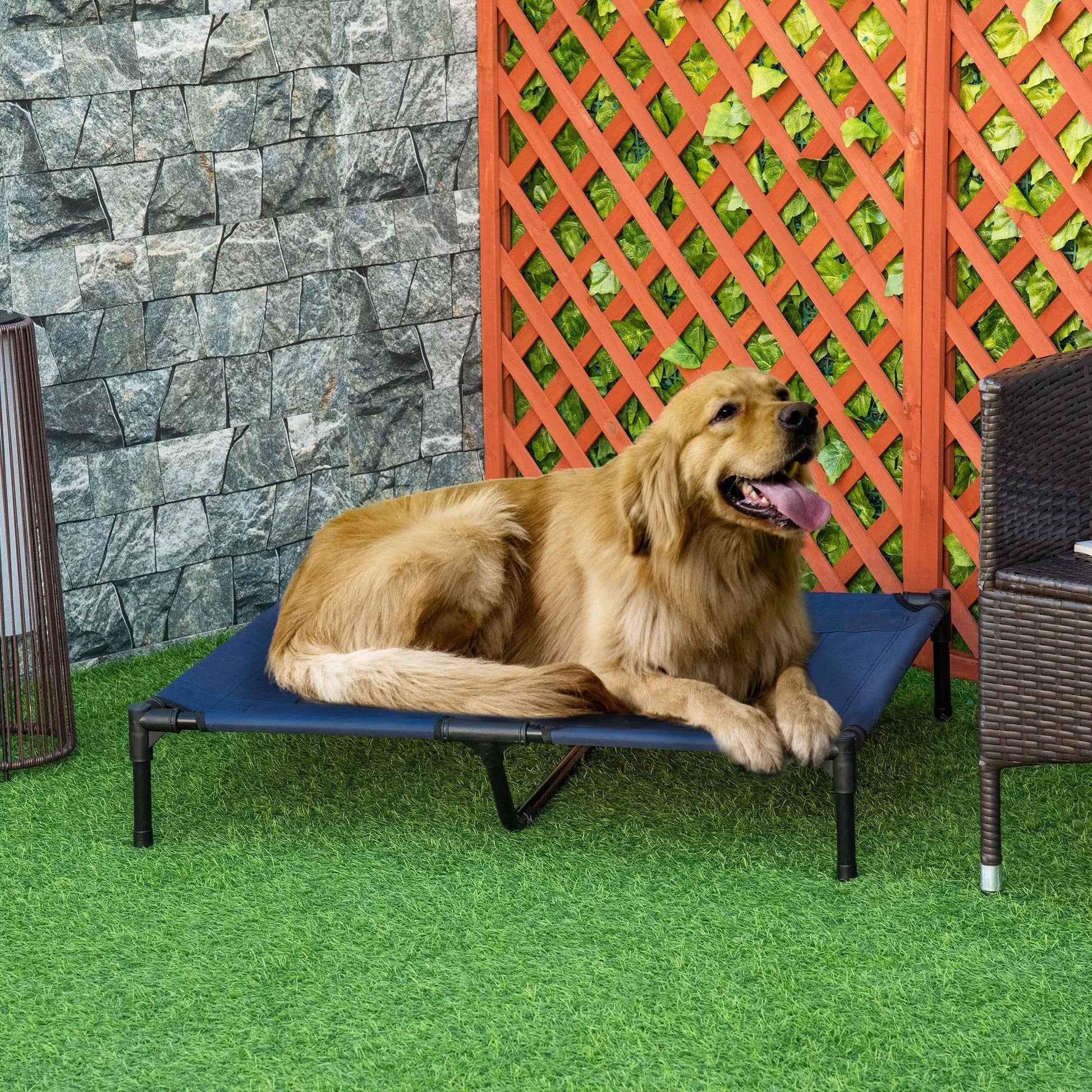chien sur lit de camp pour chien bleu