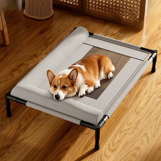 chien sur litsureleve pour chien sol marron