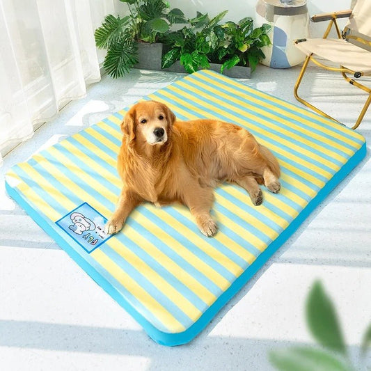 chien sur son tapis rafraichissant ete areyure bleu