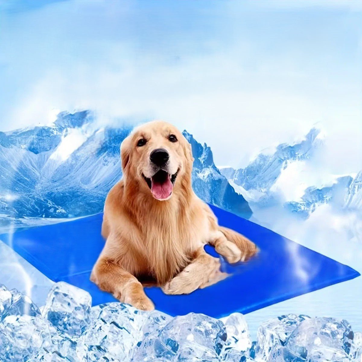 chien sur tapis rafraichissant chien auto refroidissant glace