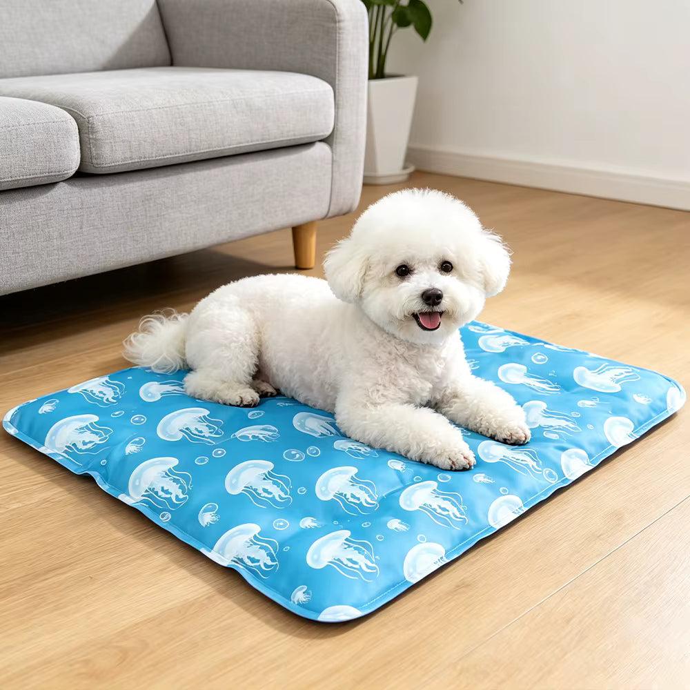 chien tapis chien rafraichissant dans salon