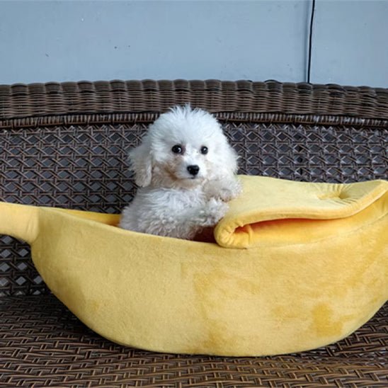 PANIER CHIEN -FormeBanane