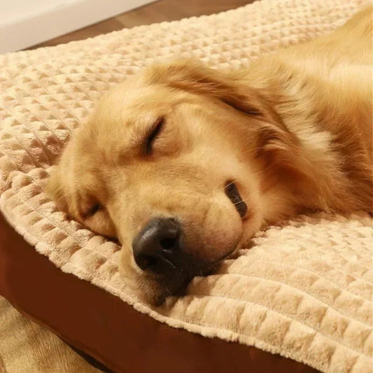 LIT POUR CHIEN -CouchagePolaire