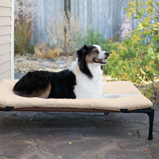 LIT POUR CHIEN SURELEVE - CouchageRespirant