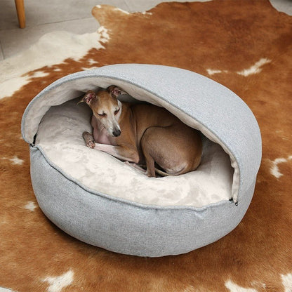 couchage pour chien sur tapis dans salon