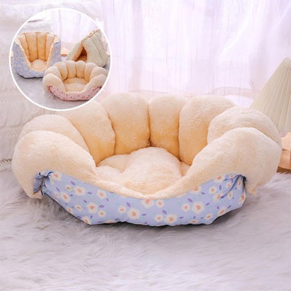 couleurs différents de canapé pour chien 