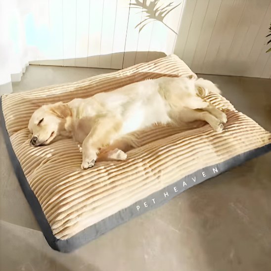 coussin pour chien xxl amovible 