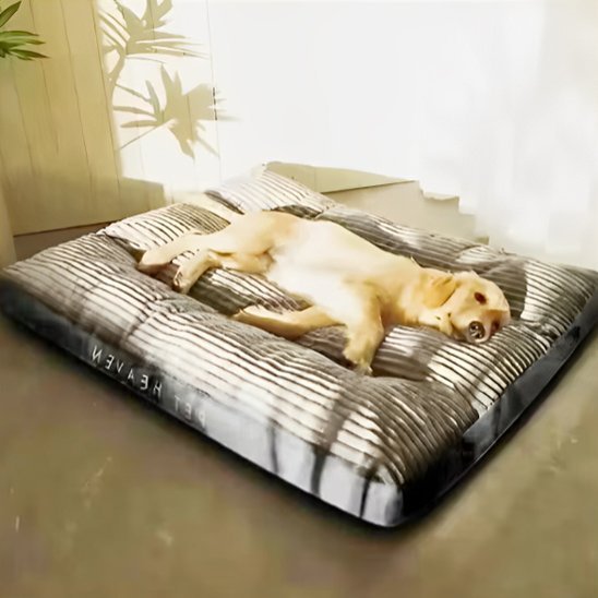coussin pour chien xxl avec fond antidérapant 