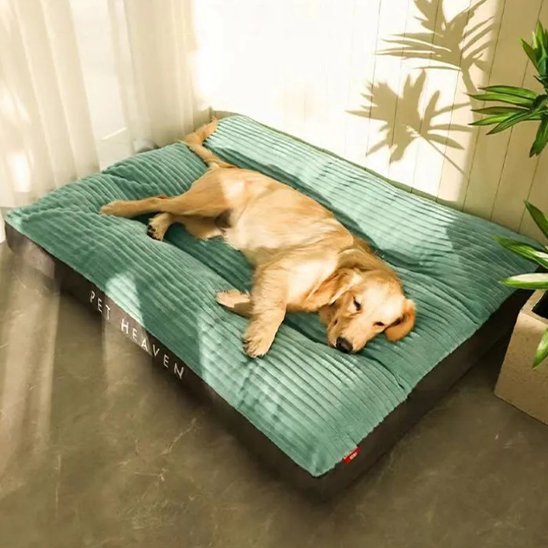 coussin pour chien xxl avec mousse a mémoire de forme 