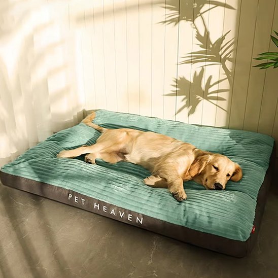coussin pour chien xxl  en voleurs côtelé  