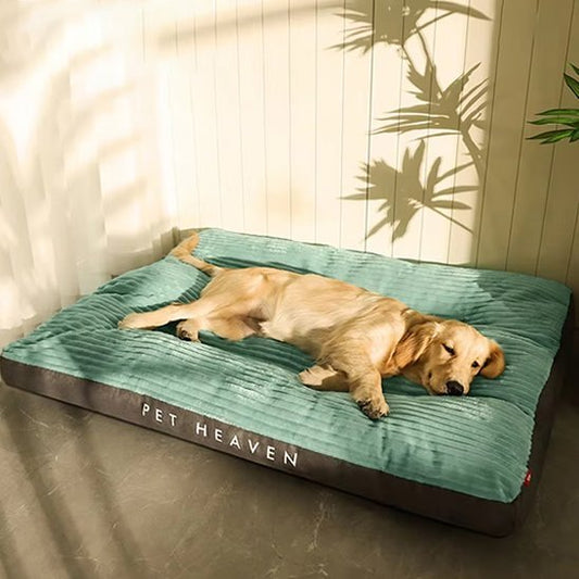 coussin pour chien xxl  en voleurs côtelé  