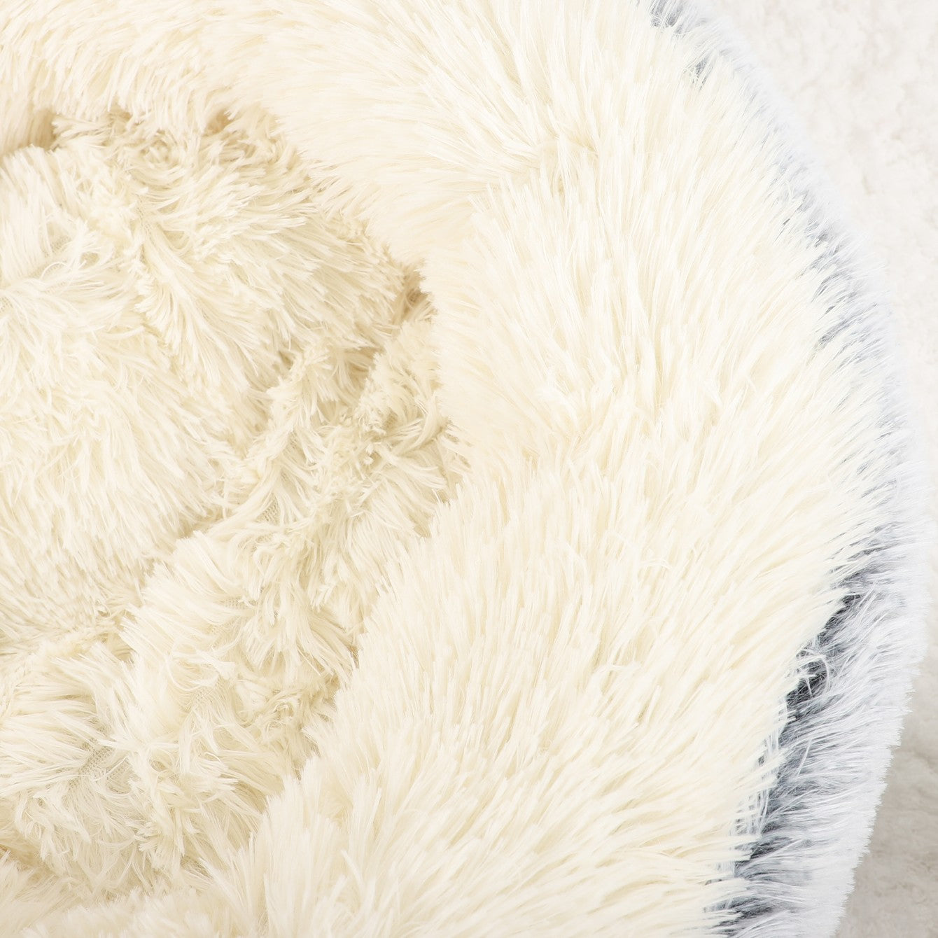 coussin chien avec une texture douce