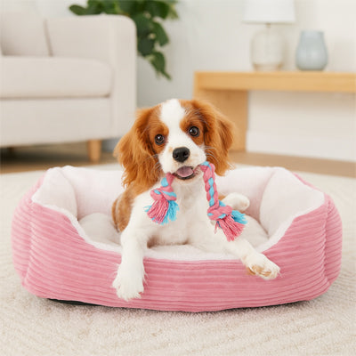 coussin chien douillet rose