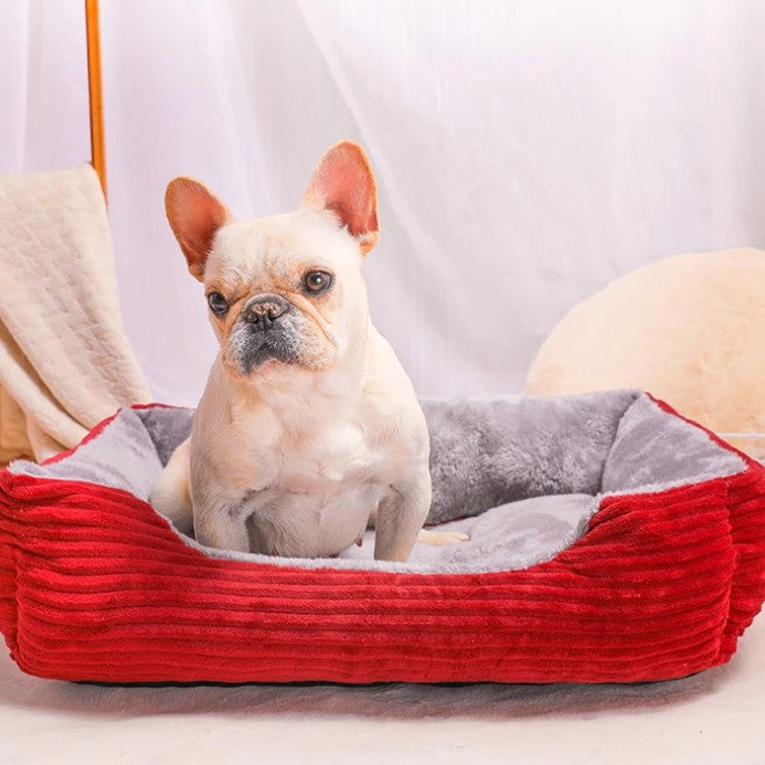coussin chien douillet rouge