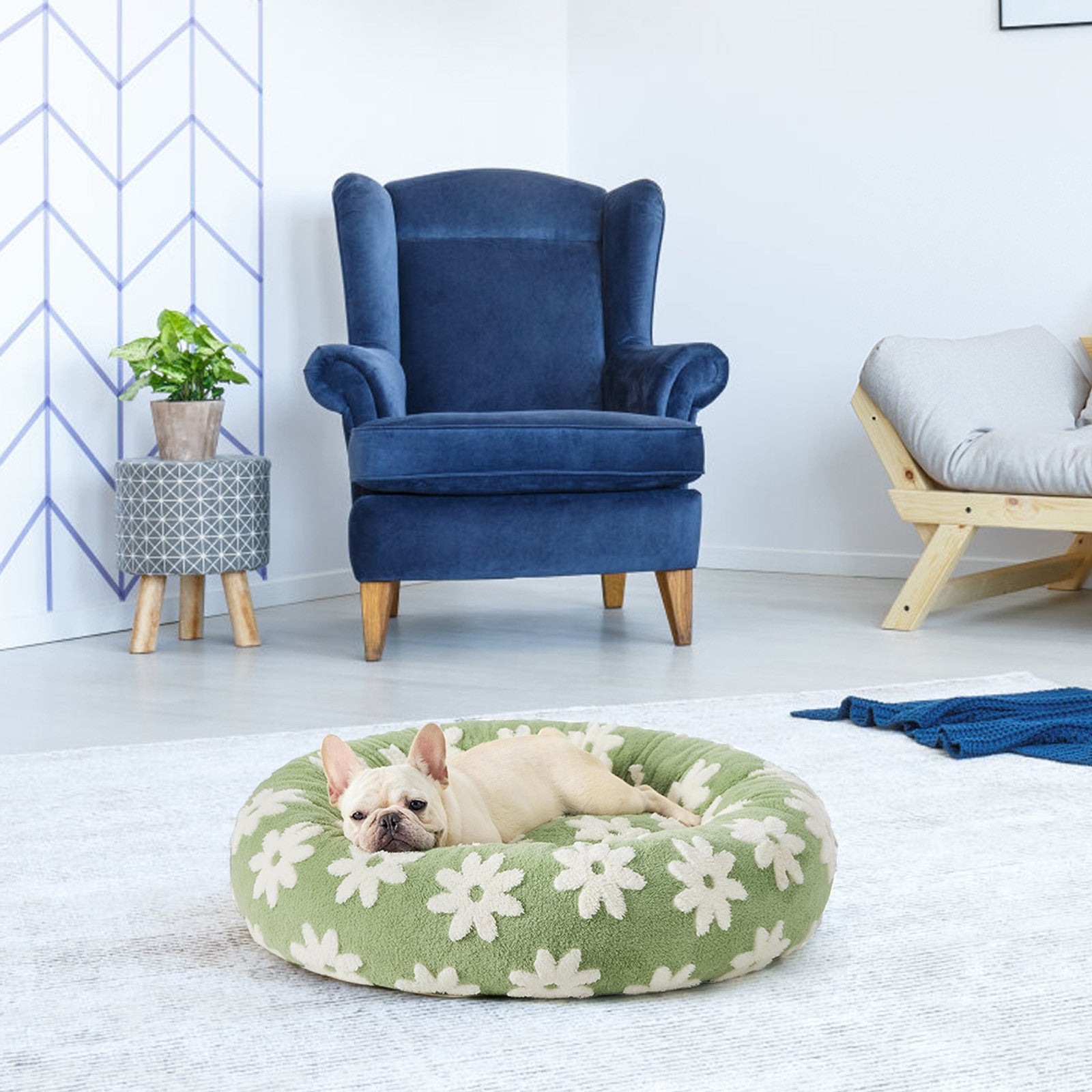 coussin chien en mousse doux