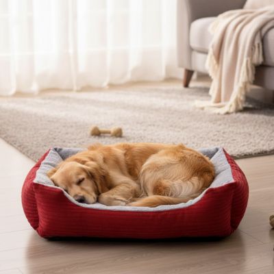 coussin chien en peluche avec base antidérapant rouge