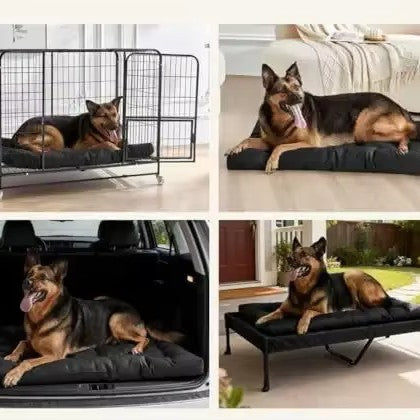 coussin indestructibles pour chien multifonctions