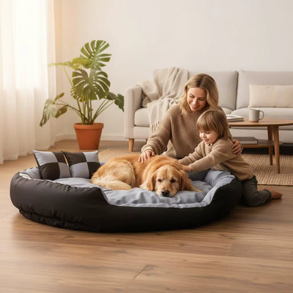 coussin orthopédique chien dans la chambre