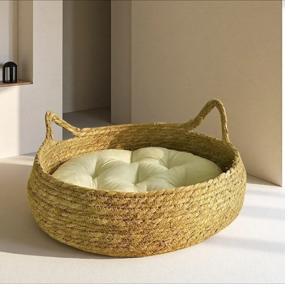 coussin pour chien désigne chic dans salon