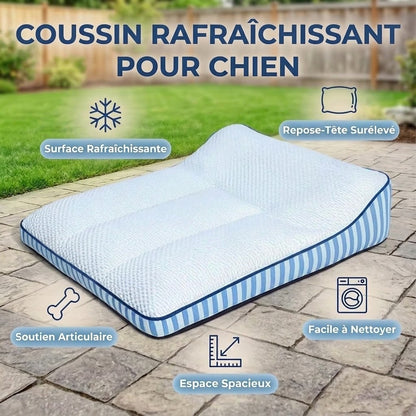 coussin rafraichissant pour chien déhoussable