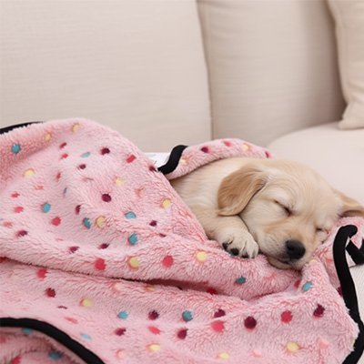 Couverture pour chien en polaire corail épaisse.
