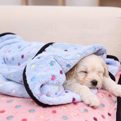  Couverture pour chien lavable en machine 
