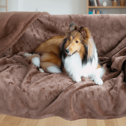 couverture chauffante pour chien en flanelle imperméable