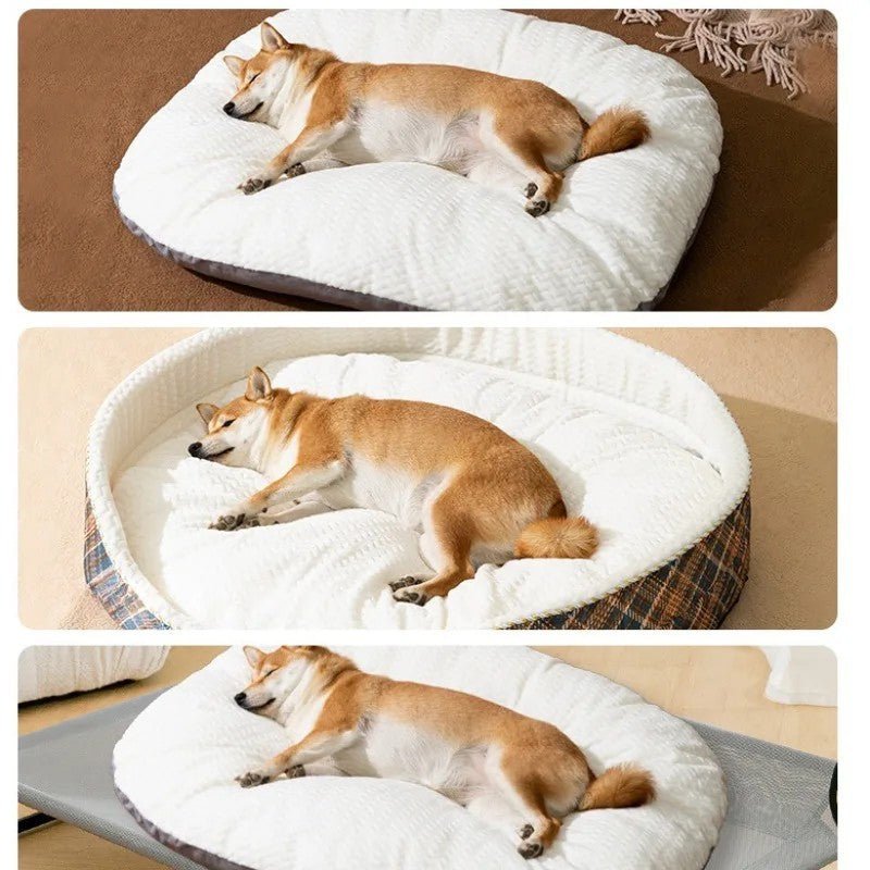 déférente utilisation de matelas déhoussable pour chien