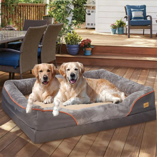 deux chiens dans lit pour chien orthopédique, confortable