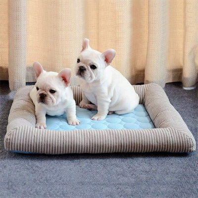deux chiens dans tapis rafraichissant chien epais