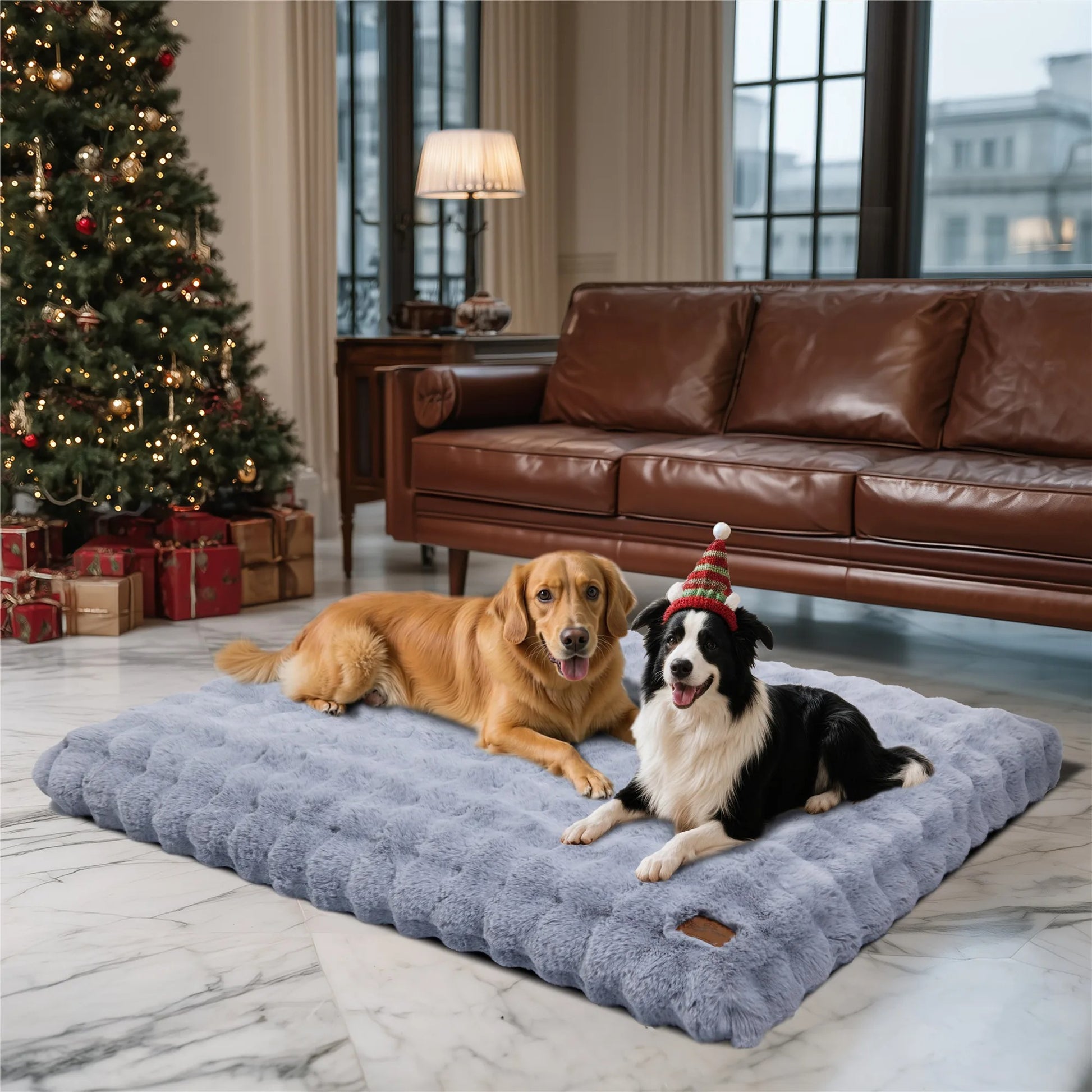 deux chiens partage lit pour chien salon noel
