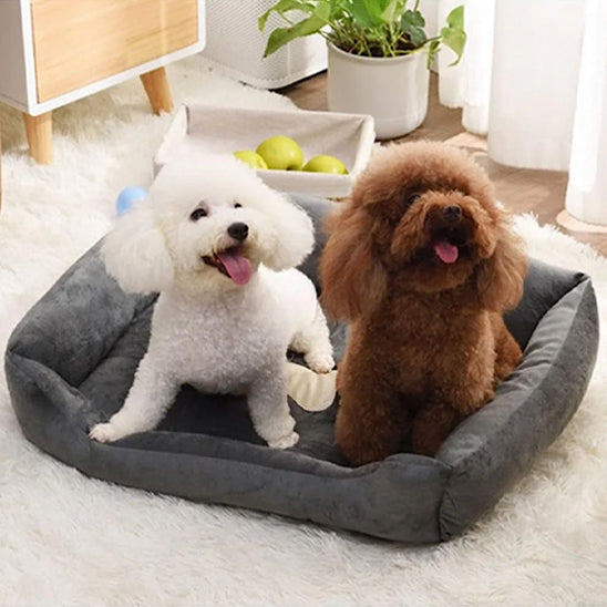 chiens partage panier pour chien gris fonce