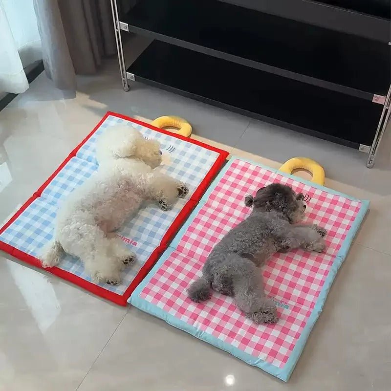 deux chiens sommeiller dans tapis chien rafraichissant