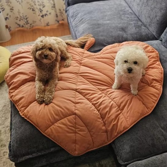 deux chiens sur tapis pour chien forme de feuille 