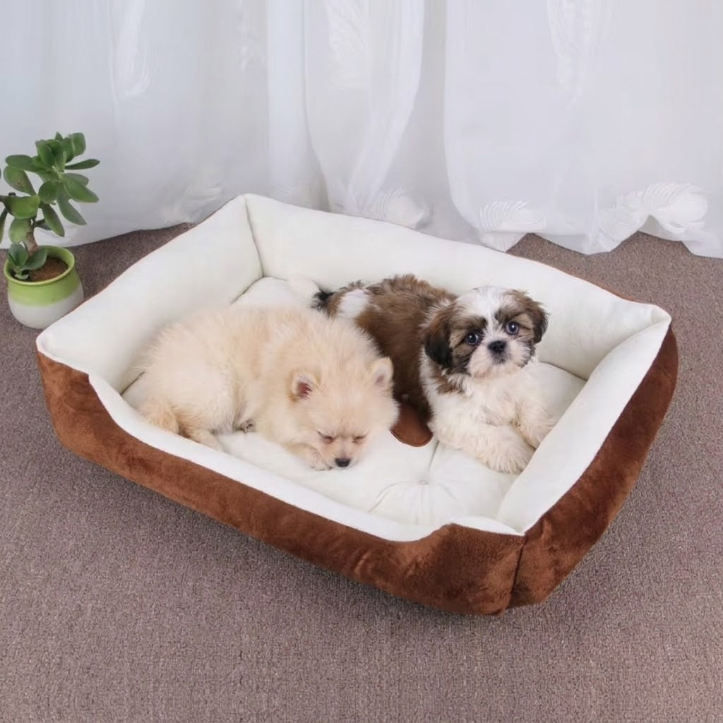 deux chiots dans panier pour chien entretien facile