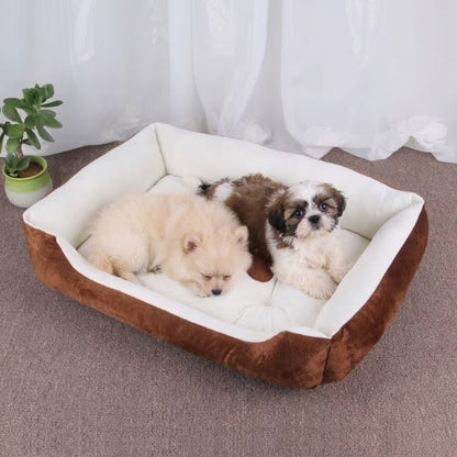 deux chiots dans panier pour chien entretien facile