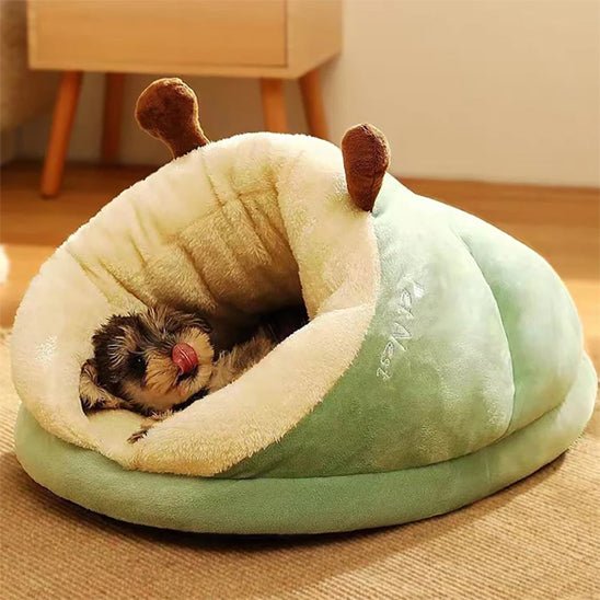 deux lit couleur differnate lit pour chien pantoufle parquet